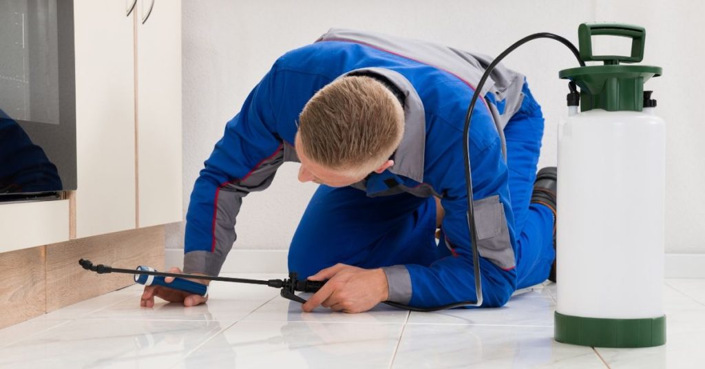 Pest control worker inspecting indoors