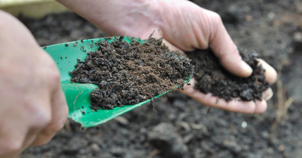 Scooping soil with a green garden trowel