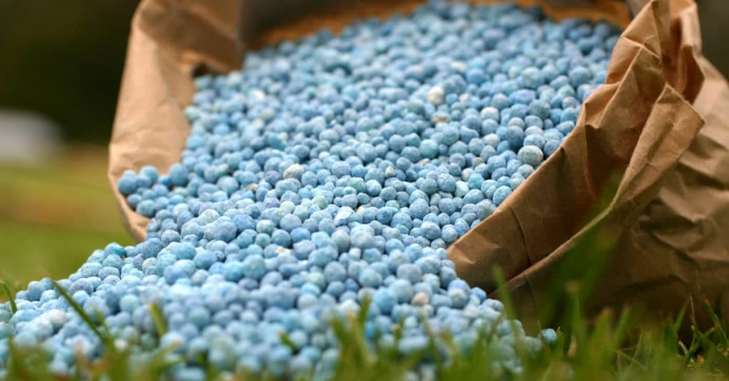 Blue granular fertilizer in a bag