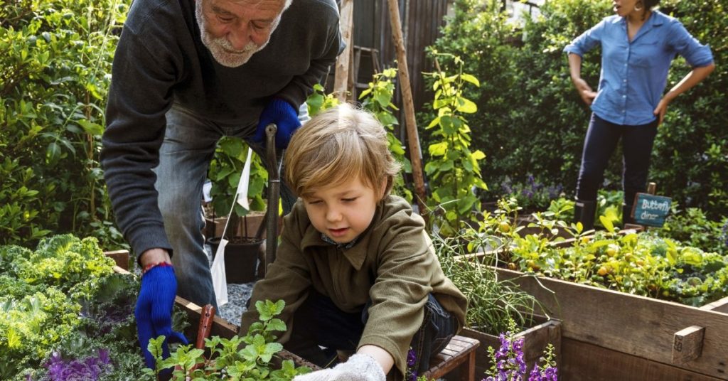 Child gardening with grandparents