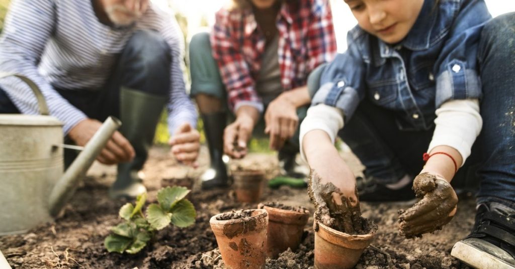 Family gardening and planting in soil