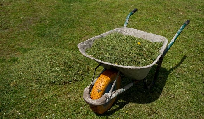 when to bag grass clippings