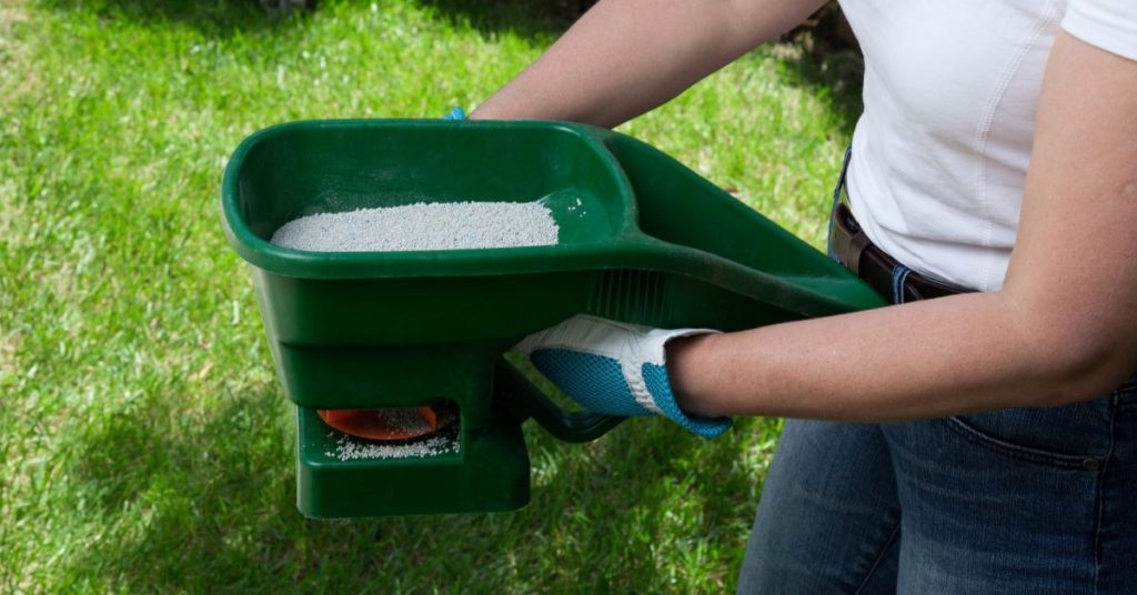 Applying fertilizer with a handheld spreader