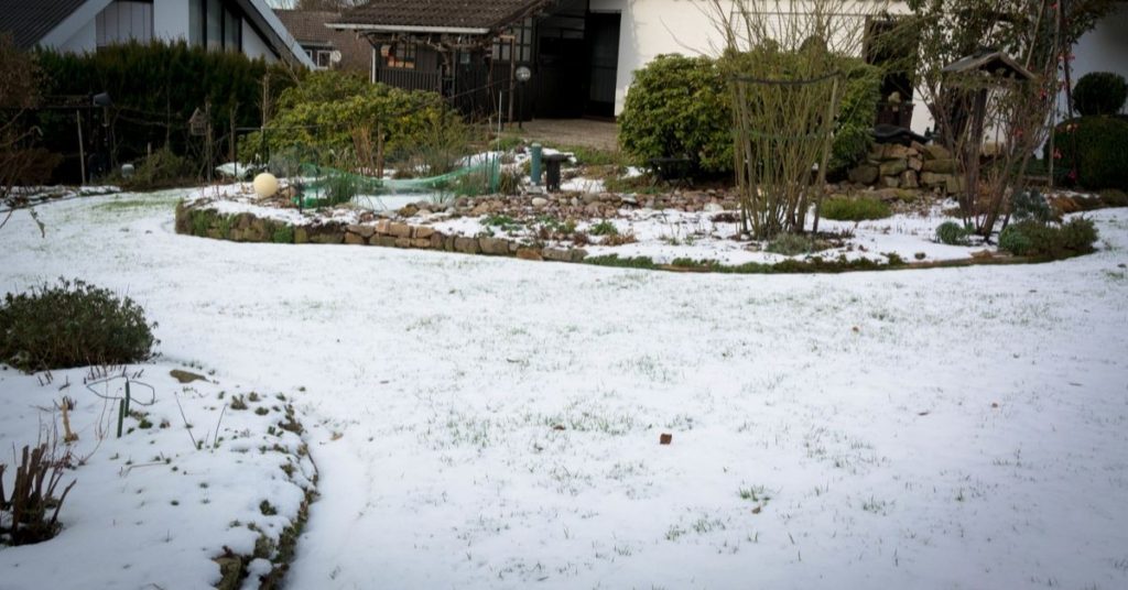 Snow-covered lawn and garden