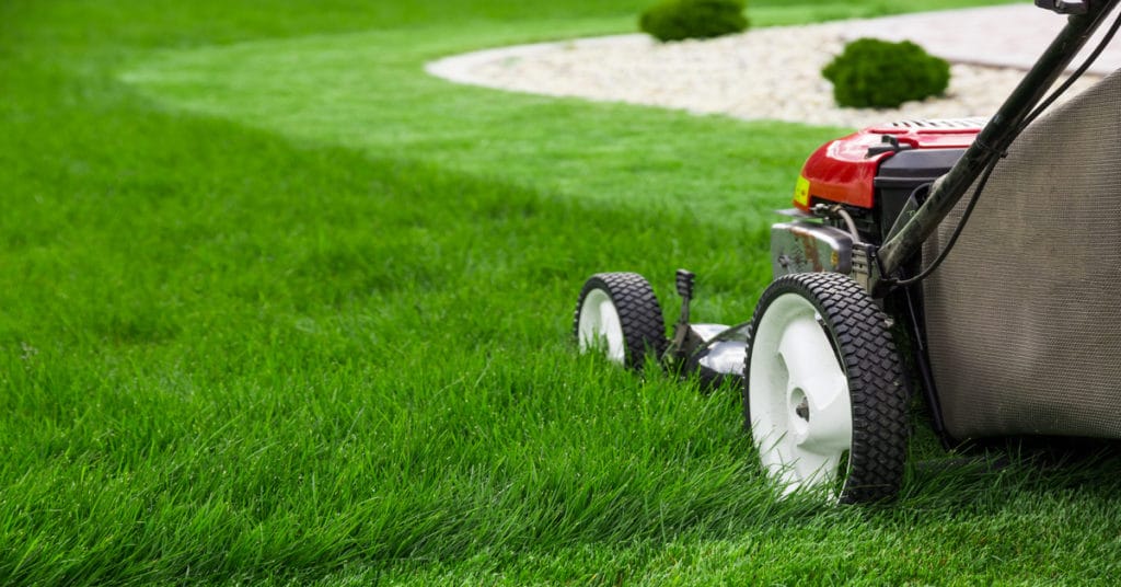 Lawn mower cutting green grass