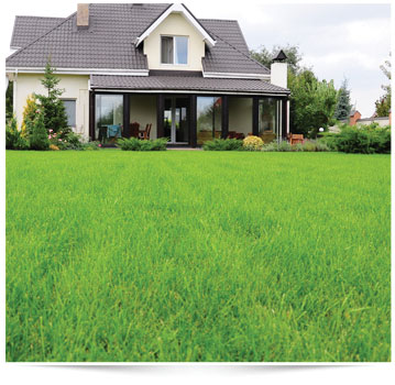 House with a well-maintained green lawn