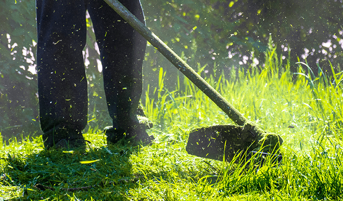 Gardener using garden tool on grass