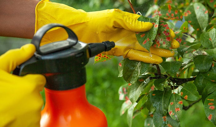 Close-up of spray bottle in garden