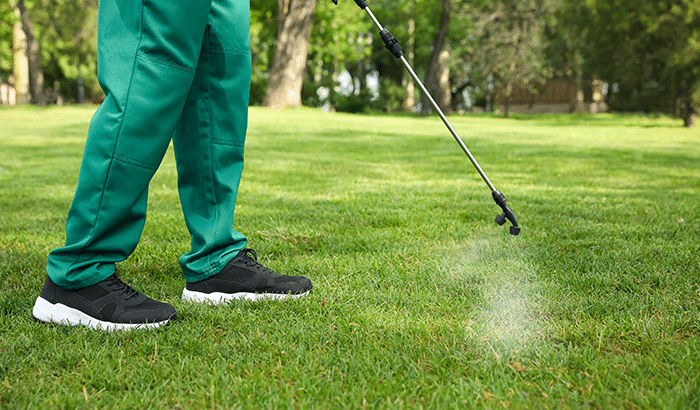 Lawn care professional spraying herbicide on grass