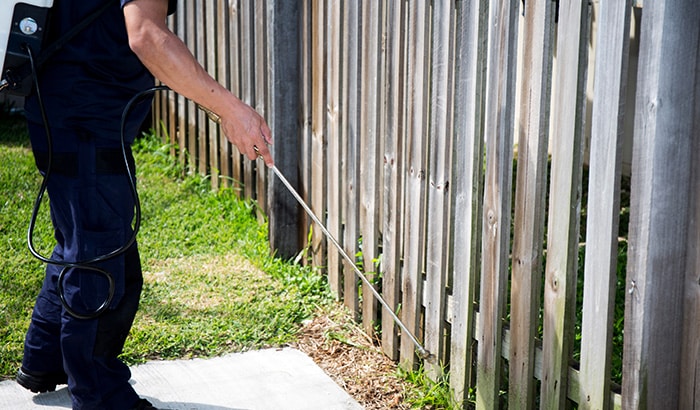 Gardener spraying pesticide along fence line