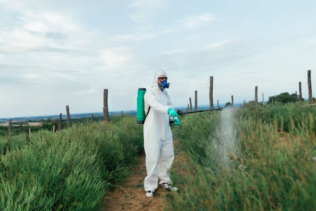 A man in a white protective suit spraying a field to control lawn weeds in spring