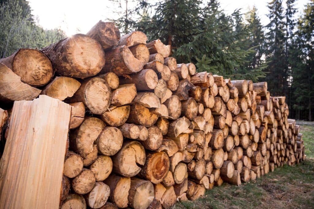 A pile of logs in the forest during black widow season, highlighting the importance of pest control in Utah.