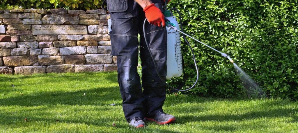 A man in black shirt and overalls professionally sprays a lawn to control pests on grass blades.